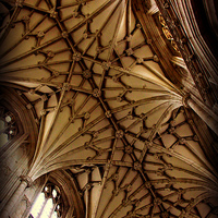 Buy canvas prints of Winchester Cathedral Ceiling by Stephen Stookey