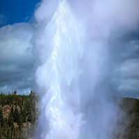 Buy canvas prints of Yellowstone National Park - Old Faithful by Stephen Stookey