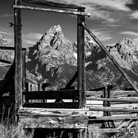 Buy canvas prints of Corral and Tetons by Stephen Stookey