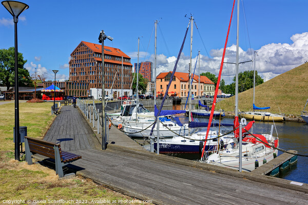 Summer Scenery in Klaipeda, Lithuania Picture Board by Gisela Scheffbuch