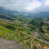 Buy canvas prints of The Greens of Madeira by Gisela Scheffbuch