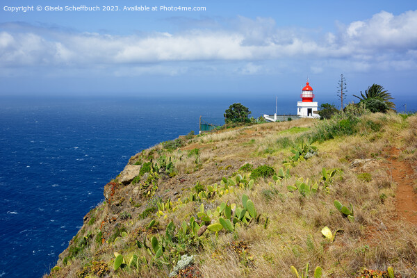 Madeira - Ponta do Pargo Lighthouse Picture Board by Gisela Scheffbuch