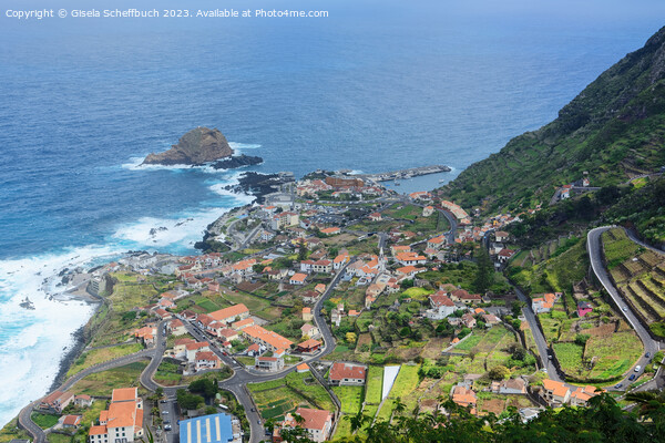 View of Porto Moniz - Madeira Picture Board by Gisela Scheffbuch