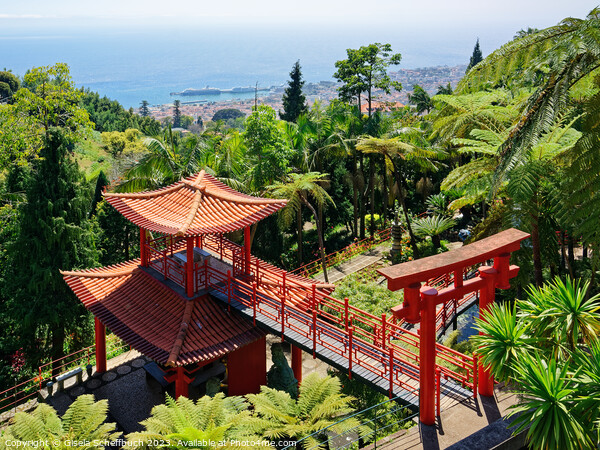Monte Palace Madeira Tropical Garden Overlooking Funchal Picture Board by Gisela Scheffbuch