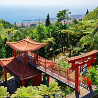Buy canvas prints of Monte Palace Madeira Tropical Garden Overlooking Funchal by Gisela Scheffbuch