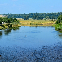 Buy canvas prints of River Tweed by Gisela Scheffbuch