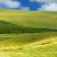 Buy canvas prints of Brecon Beacons National Park by Gisela Scheffbuch