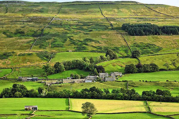  Hamlet Satron in Swaledale, Yorkshire Dales Picture Board by Gisela Scheffbuch