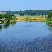 Buy canvas prints of  River Tweed by Gisela Scheffbuch