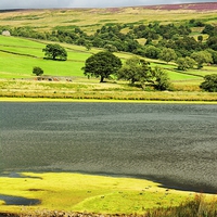 Buy canvas prints of  Gouthwaite Reservoir in the Nidderdale by Gisela Scheffbuch