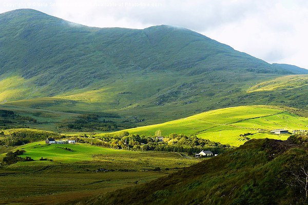  Mountains on the Ring of Kerry Picture Board by Gisela Scheffbuch