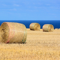 Buy canvas prints of  Bales of Straw on the Coast by Gisela Scheffbuch