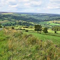Buy canvas prints of  North York Moors Scenery near Grosmont by Gisela Scheffbuch