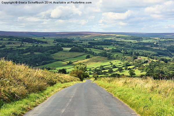 North York Moors Scenery near Grosmont II Picture Board by Gisela Scheffbuch