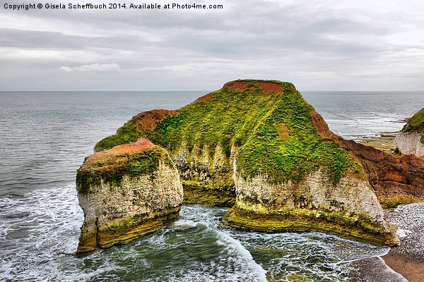  Green Stacks Pinnacle at Flamborough Head Picture Board by Gisela Scheffbuch