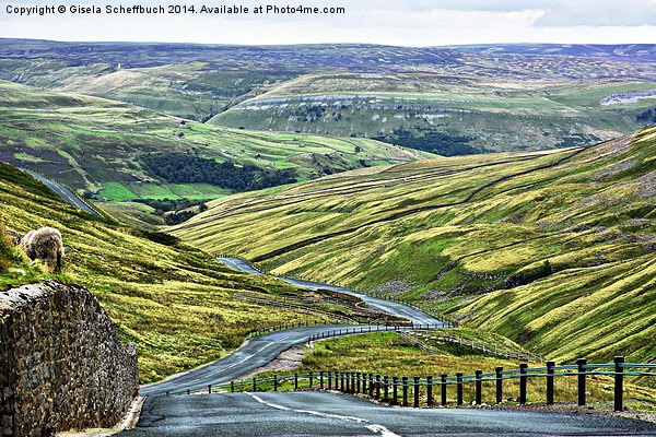  Buttertubs Pass Picture Board by Gisela Scheffbuch