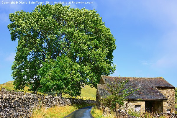  Malhamdale Idyll Picture Board by Gisela Scheffbuch