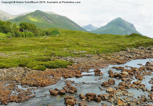  Red Cuillin  Picture Board by Gisela Scheffbuch