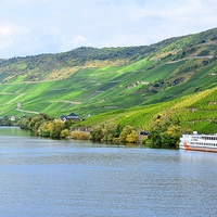 Buy canvas prints of The Moselle near Bernkastel-Kues by Gisela Scheffbuch