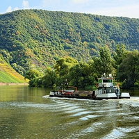 Buy canvas prints of  The Moselle in front of the Calmont by Gisela Scheffbuch