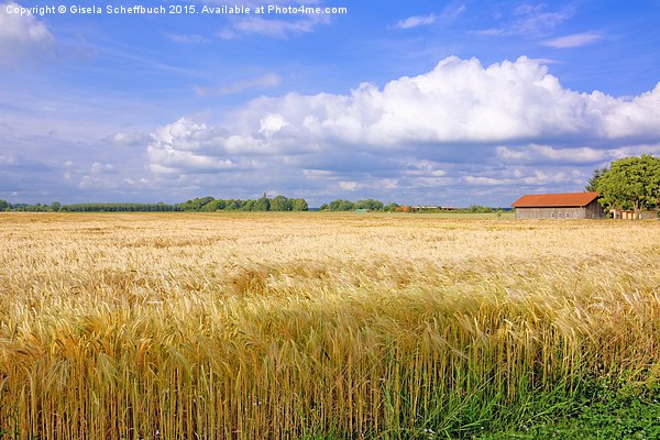  Summer Impressions from Northern Germany Picture Board by Gisela Scheffbuch