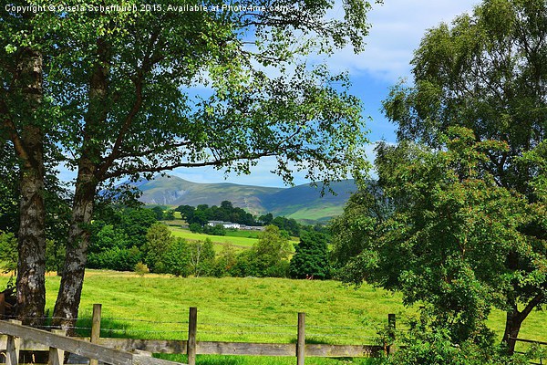 Naddle Valley in the Lake District Picture Board by Gisela Scheffbuch