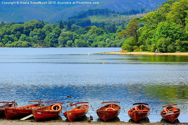  Derwentwater in the Morning Picture Board by Gisela Scheffbuch