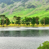 Buy canvas prints of  Buttermere by Gisela Scheffbuch