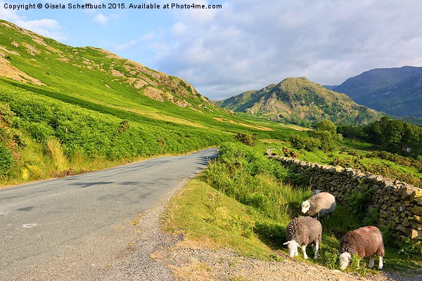  A Summer Evening in the Lake District Picture Board by Gisela Scheffbuch