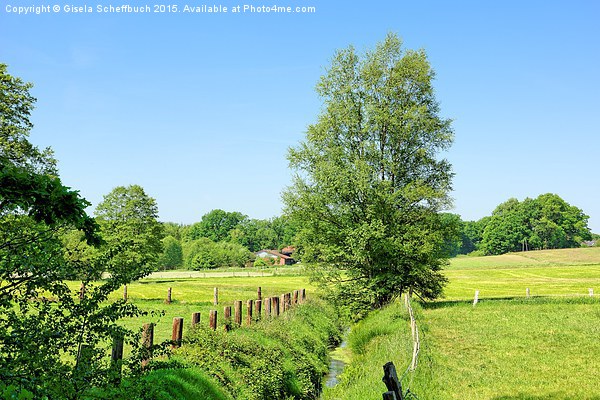  Early Summer Scenery Picture Board by Gisela Scheffbuch