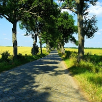 Buy canvas prints of  A Small Road on the Masurian Countryside by Gisela Scheffbuch