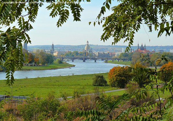  A Famous View of Dresden Picture Board by Gisela Scheffbuch