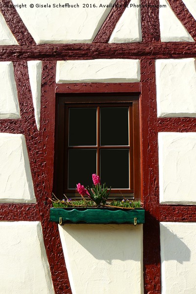 Window in a half-timber house Picture Board by Gisela Scheffbuch