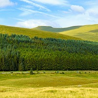 Buy canvas prints of View to Pen y Fan by Gisela Scheffbuch