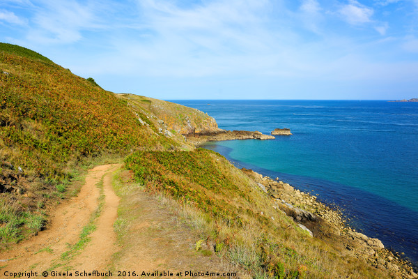 Cliff Path on the Channel Island Herm Picture Board by Gisela Scheffbuch