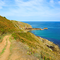 Buy canvas prints of Cliff Path on the Channel Island Herm by Gisela Scheffbuch