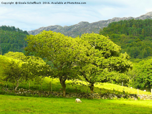 Welsh Scenery - Another Version Picture Board by Gisela Scheffbuch