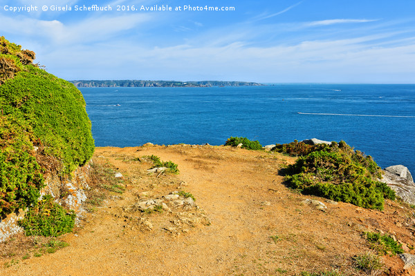 Cliff Path on the Channel Island of Herm Picture Board by Gisela Scheffbuch