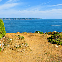 Buy canvas prints of Cliff Path on the Channel Island of Herm by Gisela Scheffbuch