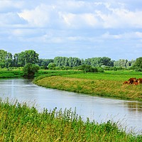 Buy canvas prints of Quiet River by Gisela Scheffbuch