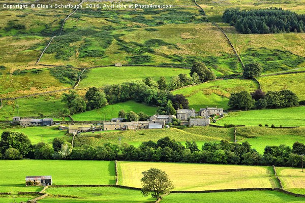 Hamlet Satron in Swaledale, Yorkshire Dales Picture Board by Gisela Scheffbuch