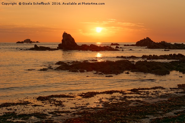 Sunset at Cobo Bay Picture Board by Gisela Scheffbuch