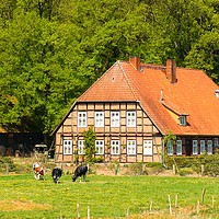 Buy canvas prints of Farm House in Lower Saxony by Gisela Scheffbuch