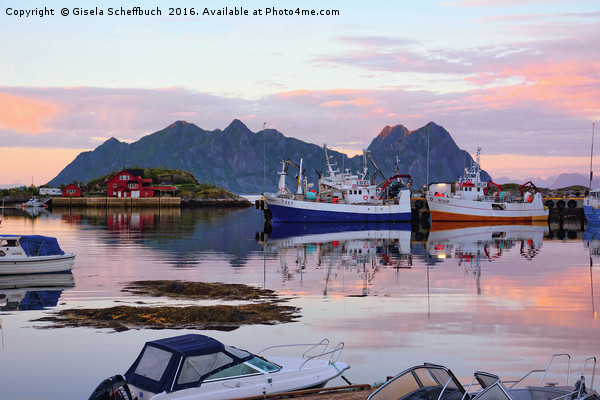 Bright Summer Night in the Lofoten Archipelago Picture Board by Gisela Scheffbuch