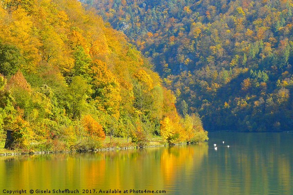 Danube in Autumn Picture Board by Gisela Scheffbuch
