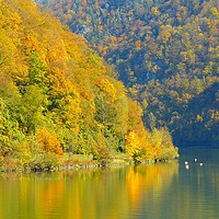 Buy canvas prints of Danube in Autumn by Gisela Scheffbuch