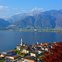 Buy canvas prints of The Village Vira on the Shore of the Lago Maggiore by Gisela Scheffbuch