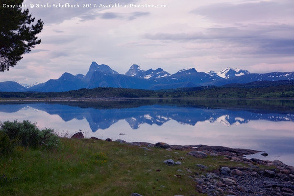 A Mystic Summer Night on Tysfjorden Picture Board by Gisela Scheffbuch