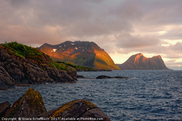 The Mountains of Senja in the Midnight Sun Picture Board by Gisela Scheffbuch