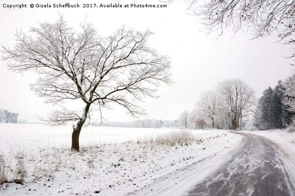  Frozen Picture Board by Gisela Scheffbuch